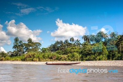 Amazonian Rainforest. Napo River. Ecuador Stock Photo