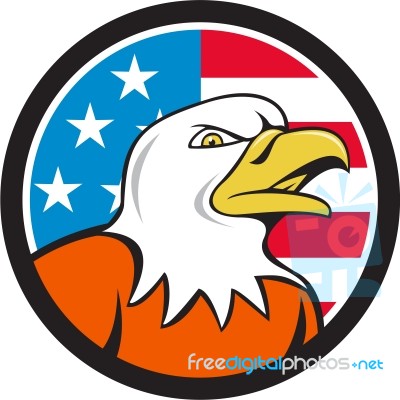 American Bald Eagle Head Angry Flag Circle Cartoon Stock Image