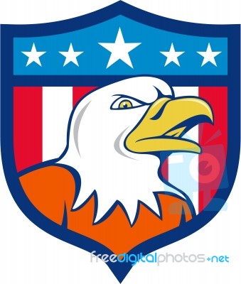 American Bald Eagle Head Angry Flag Crest Cartoon Stock Image