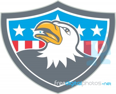 American Bald Eagle Head Flag Shield Cartoon Stock Image