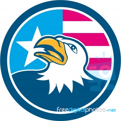 American Bald Eagle Head Flag Side Cartoon Stock Image