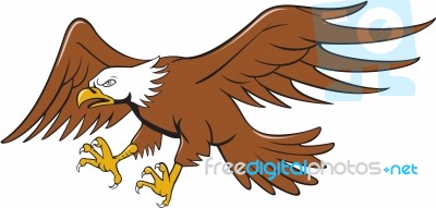 American Bald Eagle Swooping Cartoon Stock Image