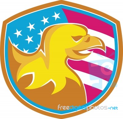 American Bald Eagle With Stars And Stripes Stock Image