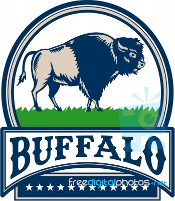 American Bison Buffallo Banner Circle Woodcut Stock Image