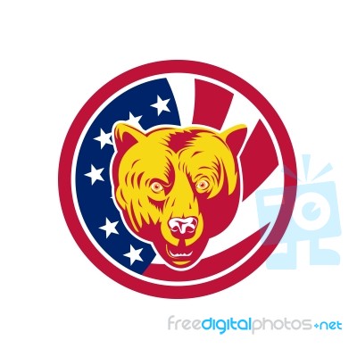 American Brown Bear Usa Flag Icon Stock Image