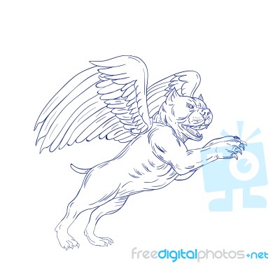 American Bully With Wings Drawing Stock Image