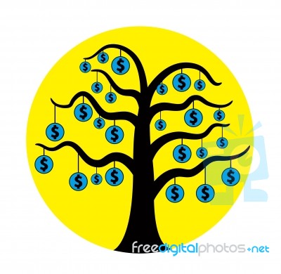 American Currency Tree Stock Image