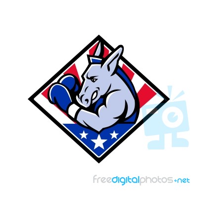 American Donkey Boxer Usa Mascot Stock Image