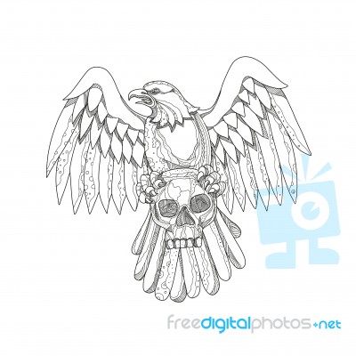 American Eagle Clutching Skull Doodle Stock Image