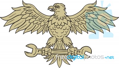 American Eagle Clutching Spanner Drawing Stock Image