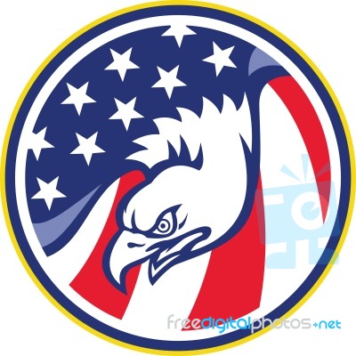 American Eagle Flying Usa Flag Retro Stock Image