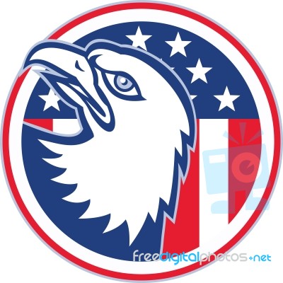 American Eagle Head Circle Retro Stock Image