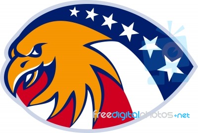 American Eagle Head Stars And Stripes Flag Stock Image