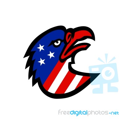 American Flag Inside Eagle Mascot Stock Image