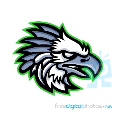 American Harpy Eagle Mascot Stock Image