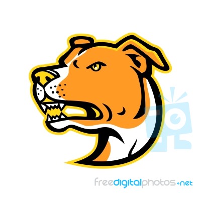 American Staffordshire Terrier Head Mascot Stock Image