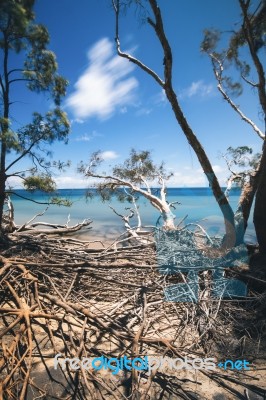 Amity Point Beach On Stradbroke Island, Queensland Stock Photo