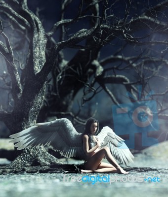 An Angel In Mystical Forest,3d Illustration For Book Illustration Stock Image