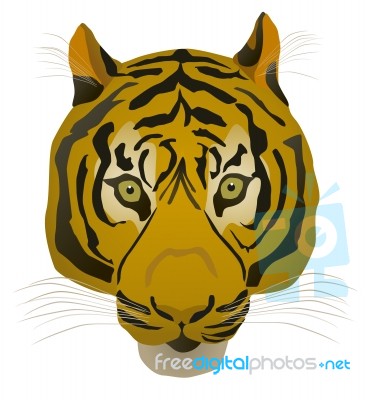 An Illustration Of A Tiger Stock Image