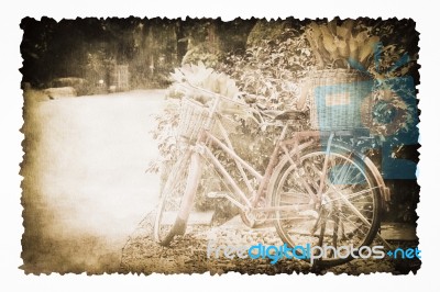 An Old Bicycle In The Garden On The Old Brown Burnt Paper Stock Photo