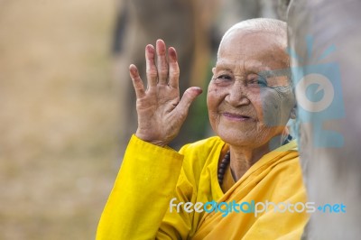 An Unidentified Old Buddhist Female Monk Dressed In Yellow Toga Stock Photo