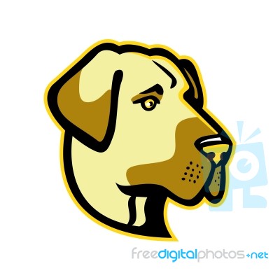 Anatolian Shepherd Dog Mascot Stock Image