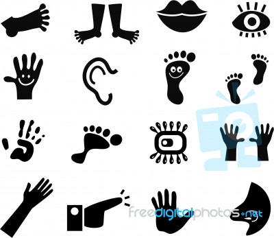 Anatomy Icons Stock Image