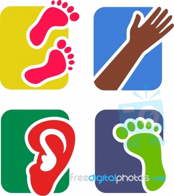 Anatomy Icons Stock Image