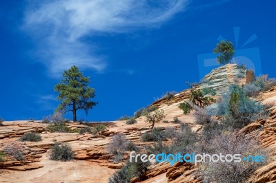 Ancient Escarpment In Zion National Park Stock Photo