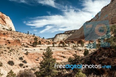 Ancient Escarpment In Zion National Park Stock Photo