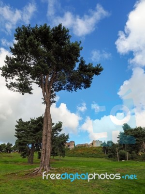 Ancient Ruins At Beeston Castle Stock Photo