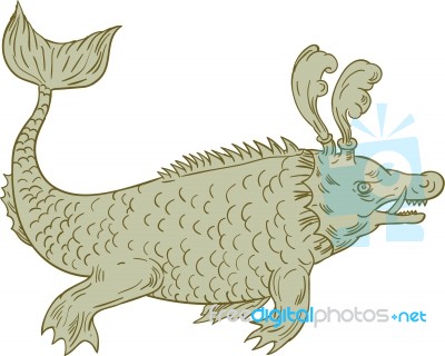 Ancient Sea Monster Drawing Stock Image