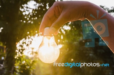 And Holding A Light Bulb With Sunset Power Concept Stock Photo