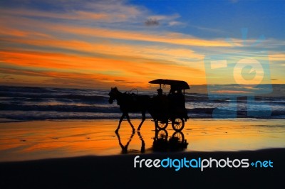 Andong Silhouette Stock Photo