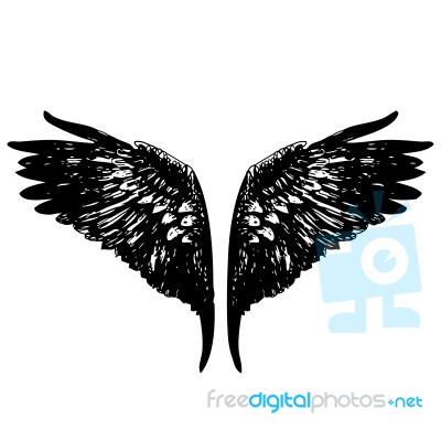 Angel Wings Stock Image