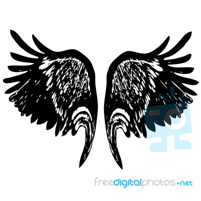 Angel Wings Stock Image