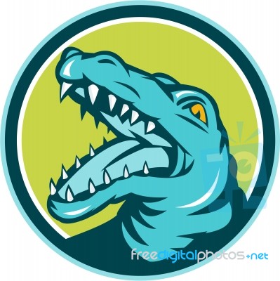 Angry Alligator Head Snout Circle Retro Stock Image