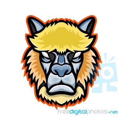 Angry Alpaca Head Mascot Stock Image