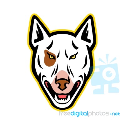 Angry Bull Terrier Mascot Stock Image