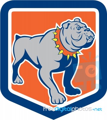 Angry Bulldog Standing Shield Cartoon Stock Image