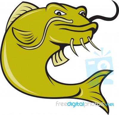 Angry Cartoon Catfish Fish Stock Image