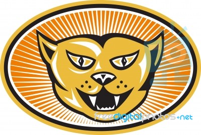 Angry Cat Head Front Retro Stock Image