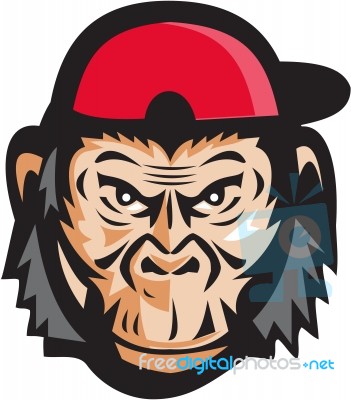 Angry Chimpanzee Head Baseball Cap Retro Stock Image