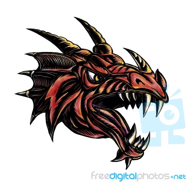 Angry Dragon Head Scratchboard Stock Image