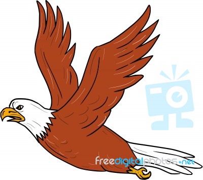 Angry Eagle Flying Cartoon Stock Image