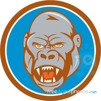 Angry Gorilla Head Circle Cartoon Stock Image