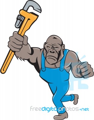 Angry Gorilla Plumber Monkey Wrench Isolated Stock Image