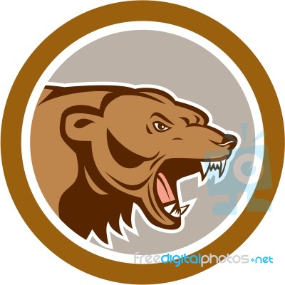 Angry Grizzly Bear Head Circle Cartoon Stock Image