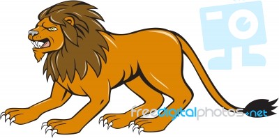 Angry Lion Crouching Side Cartoon Stock Image