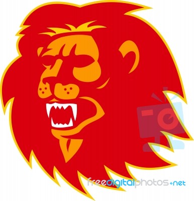 Angry Lion Head Roaring Stock Image